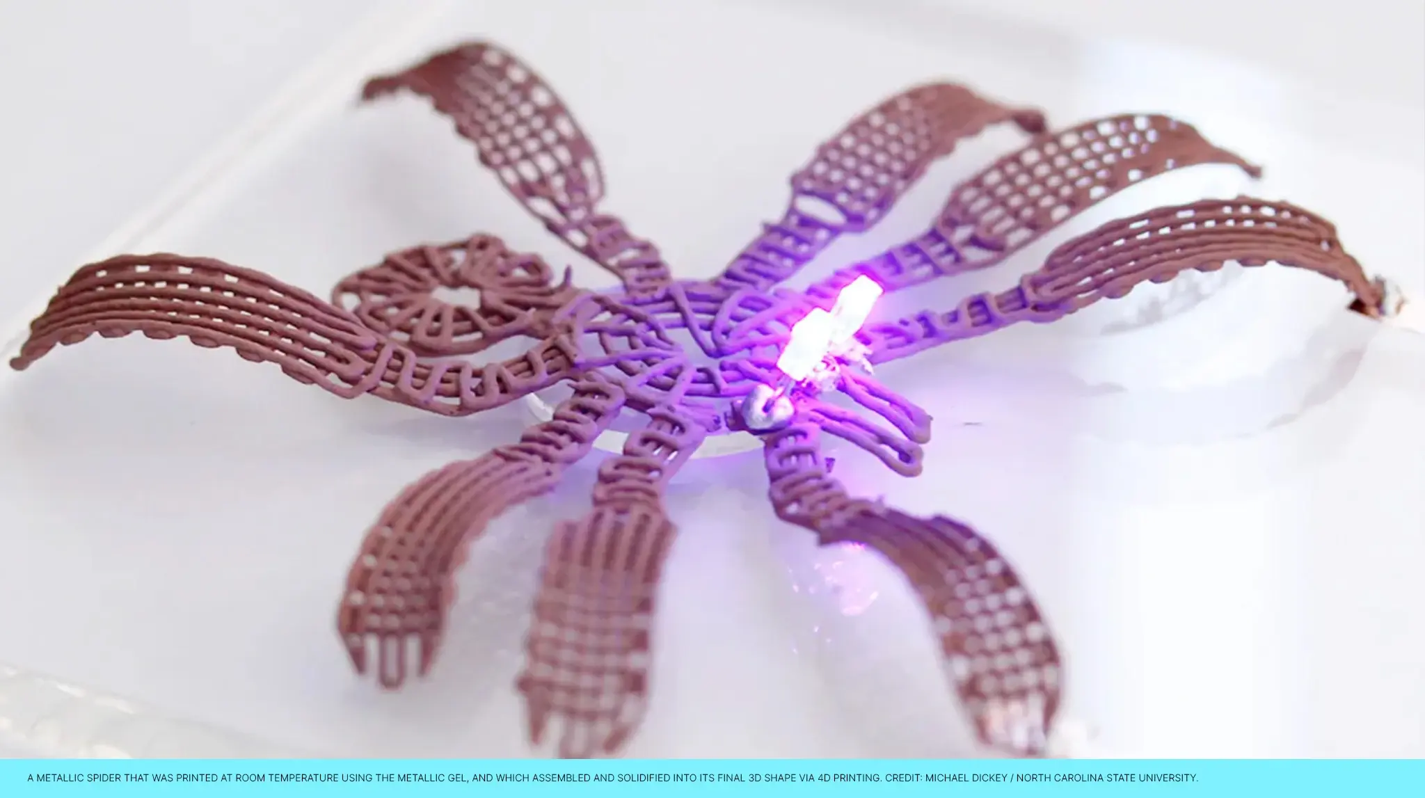 RWE's Waterstofproject: Een groene revolutie in Limburg